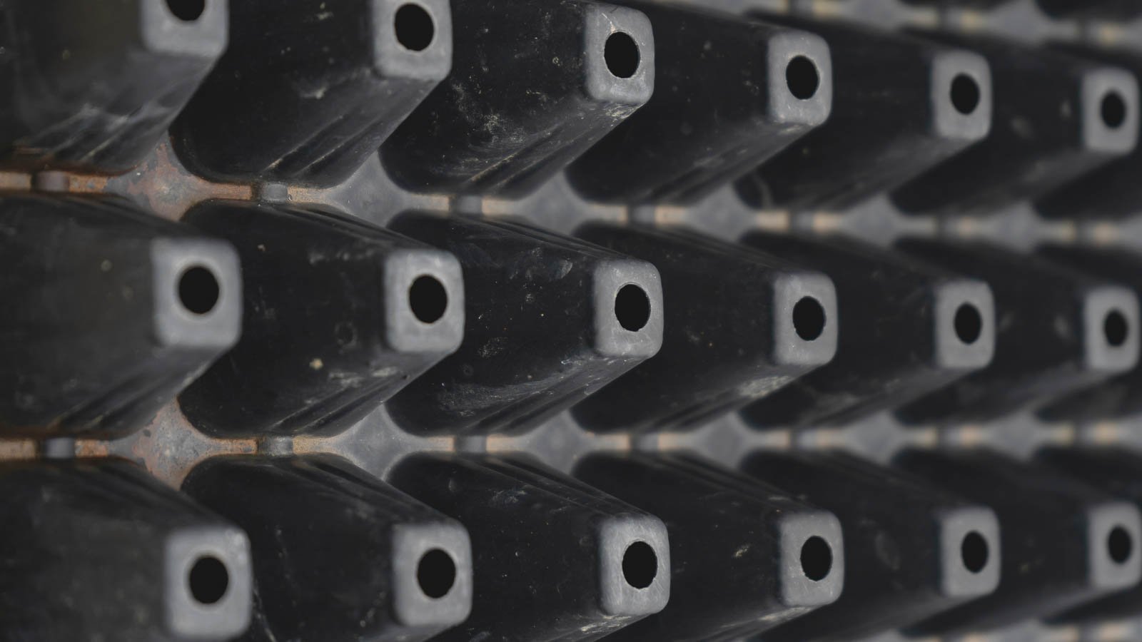 Seed tray with drainage holes