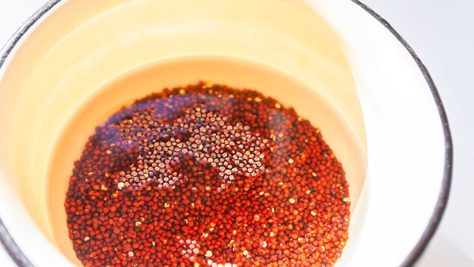 A white ceramic bowl filled with water and tiny reddish-brown Chenopodium grains.
